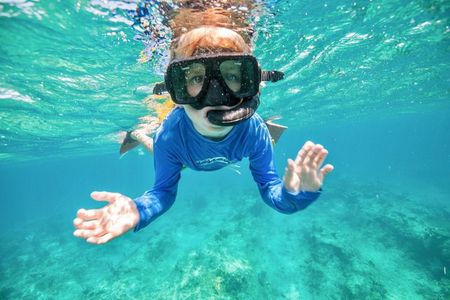 Morning Half Day Cruise from Providenciales with Snorkeling and Iguana Island