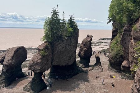 Saint John (NB) Bay of Fundy and Hopewell Rocks Private Tour