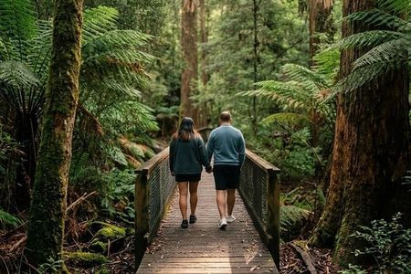 Tahune Airwalk Hasting Caves and Thermal Springs Pool from Hobart