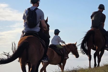 Private Morning Horseback Ride – Build Riding Skills