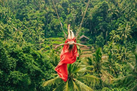 All-Inclusive Ubud Tour: Swing, Waterfall, Temple & Rice Terrace