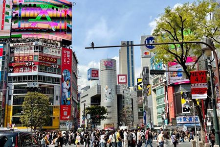 Tokyo Private Highlights Tour by Car with Local Guide