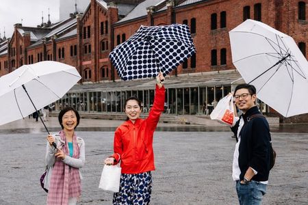 Yokohama Private Tour with a Local: Highlights & Hidden Gems