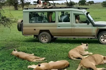 Day Trip To Mikumi National Park From Dar es salaam by Sgr train