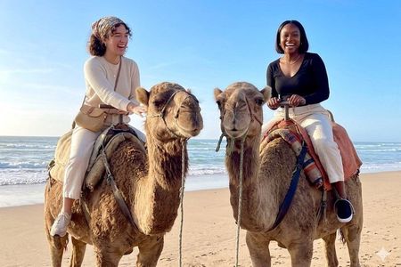 Luxury Private 6-hour Tangier Tou VIP