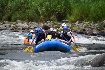 Pure Trek Rainforest & Rafting Class II & III