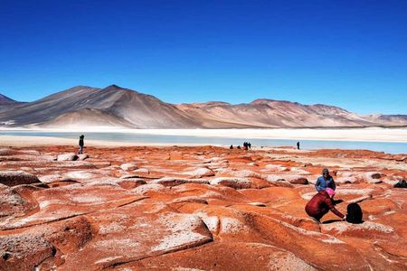 Piedras Rojas Tour Explore Altiplanic Lagoons and Chaxa