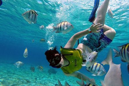 Snorkeling by the Arch with Personalized Guide