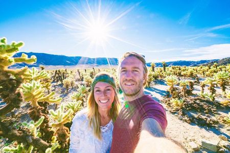 Joshua Tree National Park Small Group Day Tour from Los Angeles