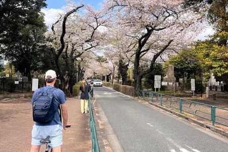 Tokyo Cherry Blossom Bike Tour: Shibuya & Hidden Tokyo