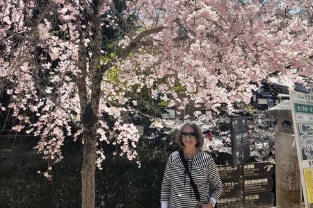 7 hours Private Customizable Walking Tour in Hiroshima