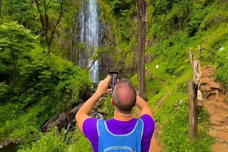 Materuni Waterfalls Hike and Organic Coffee Brewing Half day Tour