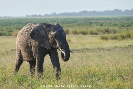5-Day Crescent Island, Hell’S Gate, Naivasha, Amboseli National Park