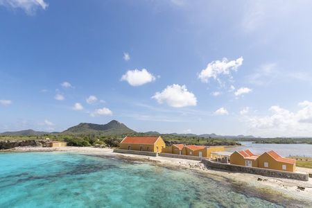 Washington Slagbaai Park Full Day including Hike and Snorkel