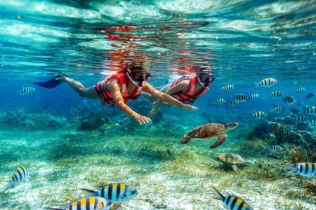 Reef Snorkeling in National Park from Cancun with Beachside Lunch