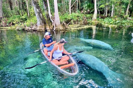 Silver Springs Clear Kayak Tour – Manatees & Monkeys Tour