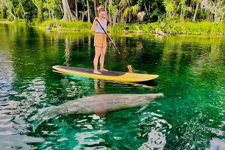 Silver Springs Clear Kayak Tour – Manatees & Monkeys Tour