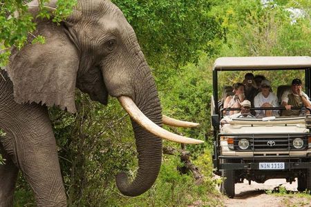 2 Nights & 3 Day Kruger National Park Safari & Panorama Route