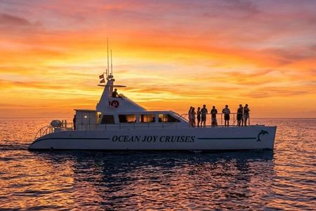 Premium Snorkel Sunset Cruise with Whale and Dolphin Watch