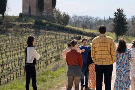 Tour of Vineyards and Winery. Tasting and Lunch on the Terrace