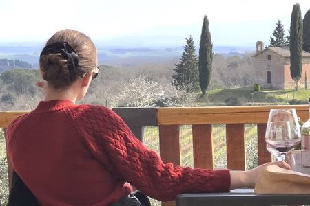 Premium Tasting of Wines and Tuscan Flavours