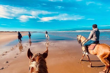 Agadir: Horseback Riding Beach Experience with Hotel pick-up