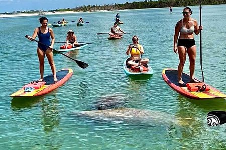 Dolphin and Manatee Kayak Tour of Daytona Beach