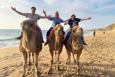 Private 4 Hour Luxury Tangier Tour with Local Guide and Pickup