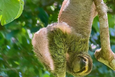 Manuel Antonio National Park Guided Tour