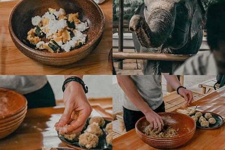 Koh Samui : Elephant Sanctuary, Coconut and Beach Experience