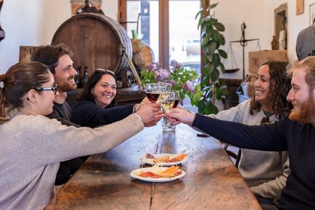 Parmigiano, Balsamic & Winery Tour with Light Lunch from Bologna