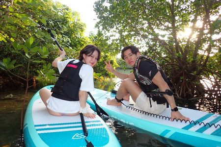 Hidden Jungle Mangrove SUP in Miyakojima (English tour)