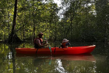 Kayak experience on Playa Blanca in Puerto Jiménez