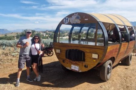 Tequila Tour from Guadalajara with Jima Demonstration
