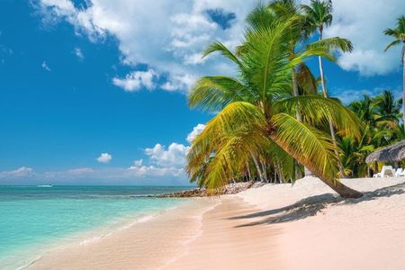 Catalina Island even more unspoilt than Saona Island