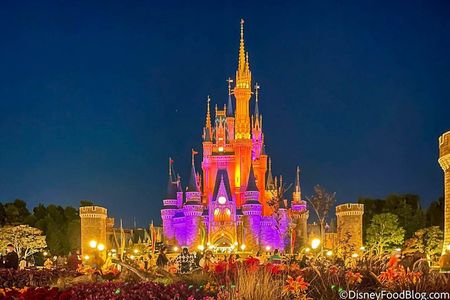 Ticket to Tokyo Disneyland with options