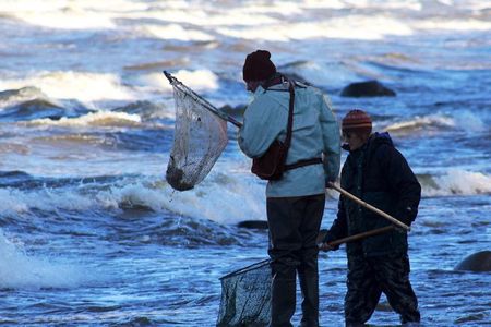 Private Tour: Amber Hunting in Curonian Spit from Klaipeda