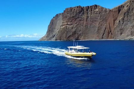 5-Hour Lanai Snorkel & Dolphin Adventure