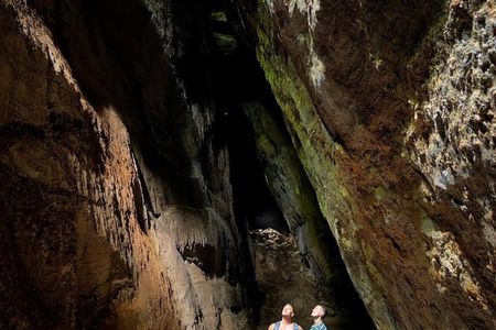 Rio’s Hidden Jungle: Waterfalls, Wildlife & Rainforest Hike