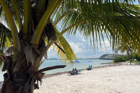 I Love U Miami!! VIP Full Day 6hr Miami City Tour