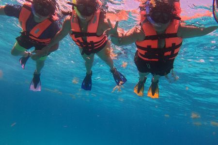 2.5 Hours Snorkeling Costa Maya