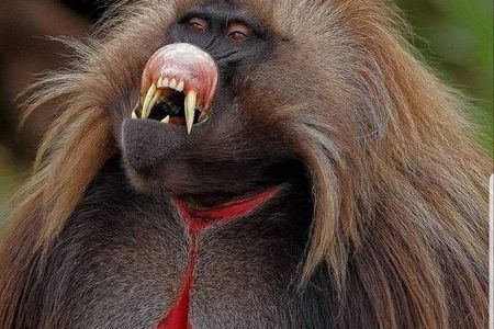 6 Days Northern Ethiopia: Sacred sites & Epic landscape