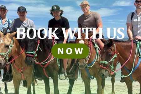 Beach Horseback Riding & Snorkel (Tamarindo, Potrero, Flamingo)