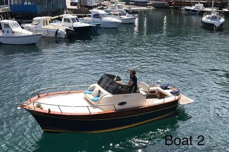 Panoramic Boat Tour on Lake Iseo