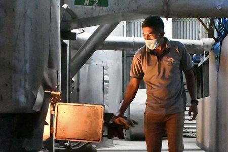 Coffee Tour Near Sámara & Carrillo Beach