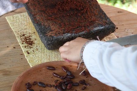 Guatemalan Bean to Bar, Ceremonial Cacao and Chocolate Experience
