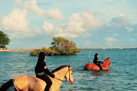Bali Horseback Riding In The Sea at Mertasari Beach