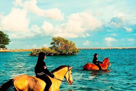 Bali Horseback Riding In The Sea at Mertasari Beach