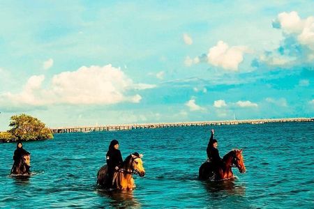 Bali Horseback Riding In The Sea Experience (30 Minute From Kuta)
