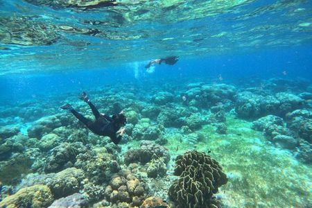 Twin Island Snorkeling Adventure at Hiltungan and Nalsuan